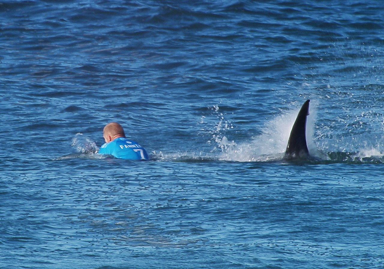 Sudafrica choc surfista attaccato da squalo durante gara