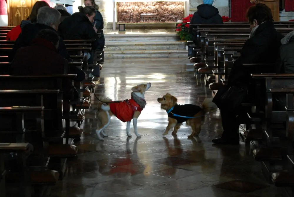 Alassio-parroco-caccia-due-fedeli-perché-a-messa-con-il-cane