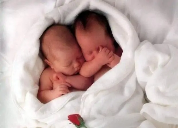 Embrioni-scambiati-la-lettera-dei-genitori-biologici-ai-figli-mai-conosciuti
