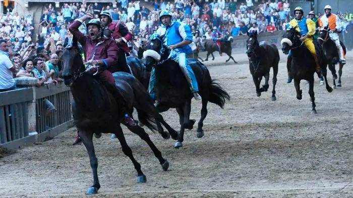 Palio-di-Siena-ci-sarà-la-prima-manifestazione-degli-animalisti