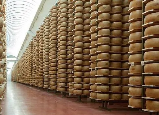 Modena-arrestati-responsabili-furto-di-2000-forme-di-Parmigiano-Reggiano