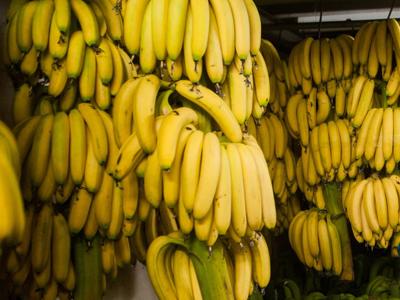 Banane-a-rischio-estinzione-a-causa-di-un-fungo-parassita