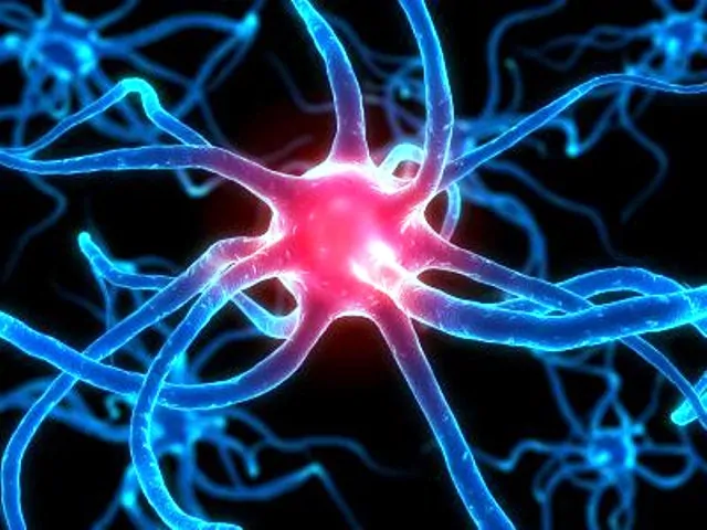 Tumori-scoperto-biochip-che-riconosce-e-rimuove-le-cellule-malate