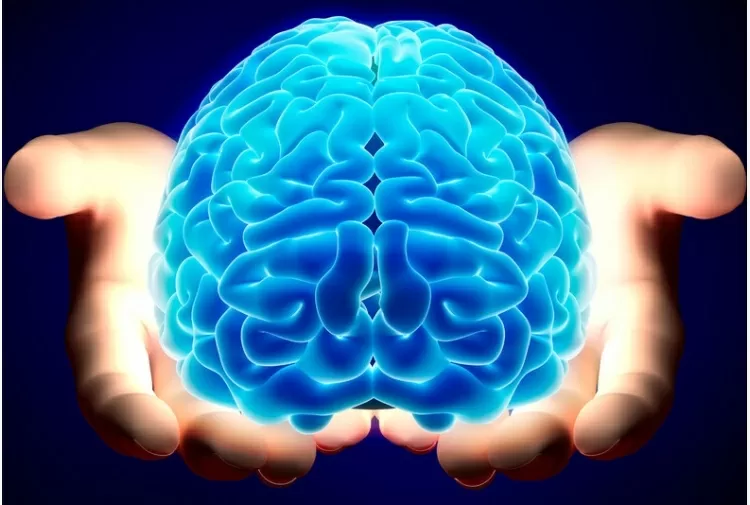 Glioblastoma-scoperto-da-ricercatori-italiani-il-meccanismo-di-crescita-del-cancro-al-cervello