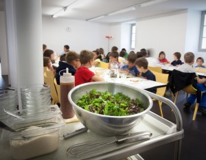 Senigallia-choc-un-bambino-trova-un-verme-nel-pranzo-a-scuola