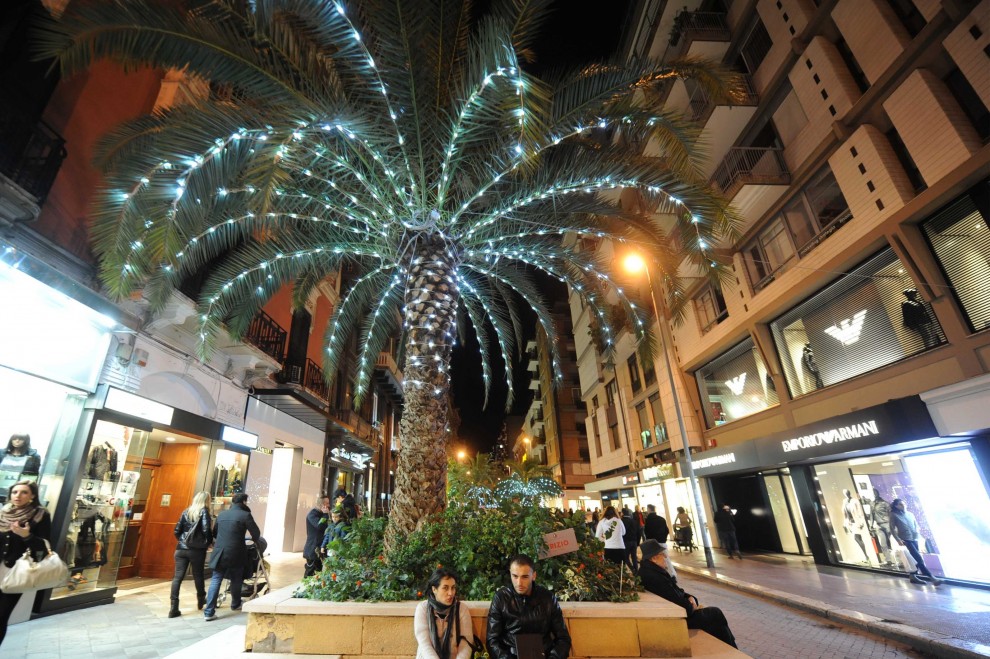 Bari, è rivolta sui social per il restyling di Via Sparano che prevede l’eliminazione delle storiche palme