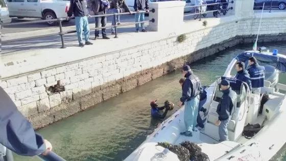 Bari, maxi sequestro al molo di San Nicola di cozze e ostriche conservate vicino scarico fogna