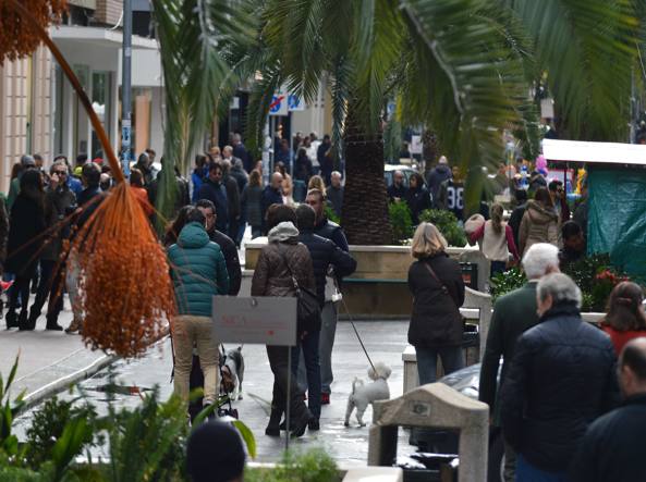 Bari restyling di via Sparano, “tutto questo chiasso per salvare palme spelacchiate”, ecco le dichiarazioni dell’architetto