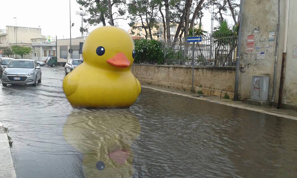 A Modugno avvistata papera gigante che galleggia nelle strade allagate della città