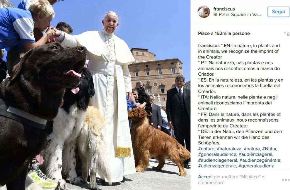Papa Francesco benedice i cani bagnino di Bari. Gli angeli salva vite di Pane e Pomodoro