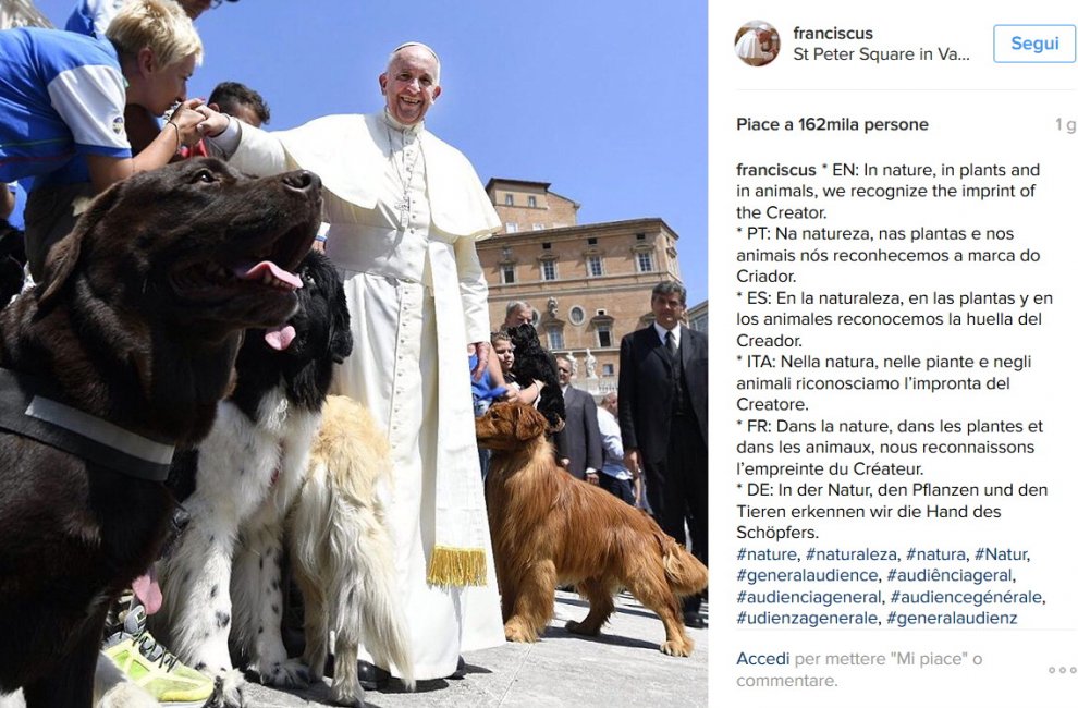 Papa Francesco benedice i cani bagnino di Bari. Gli angeli salva vite di Pane e Pomodoro