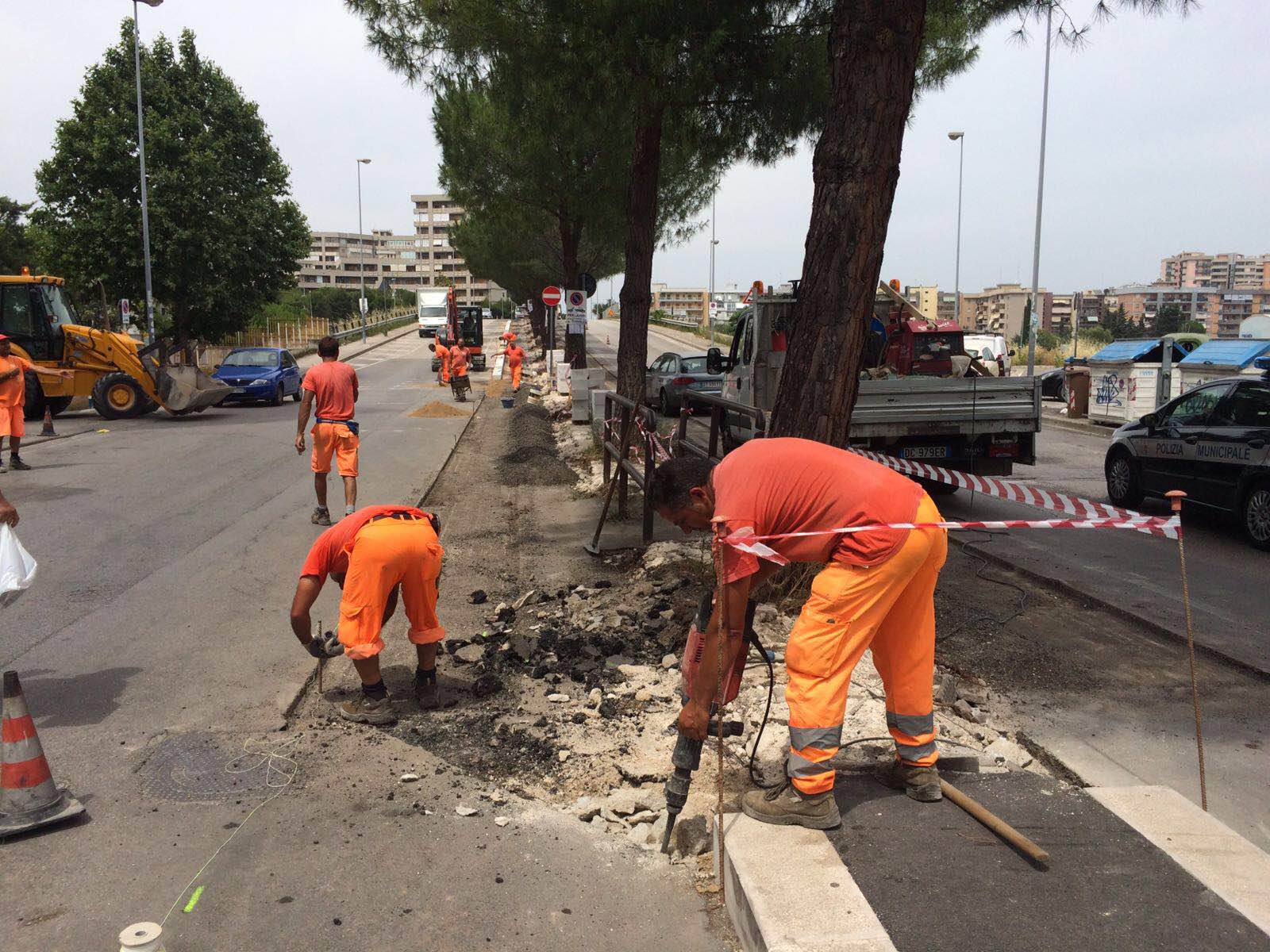 Al via i lavori di rifacimento spartitraffico via Lucarelli. In salvo i 40 pini e più posti auto