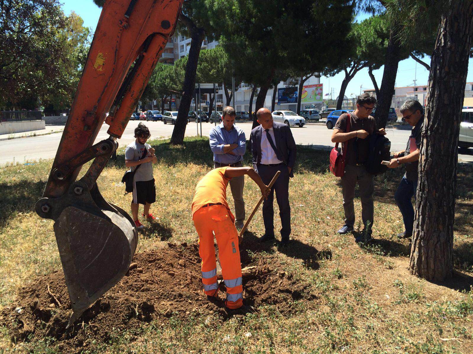 Bari, i pini di via Caldarola non resisteranno all’espianto. Galasso: pensiamo a come compensare il verde