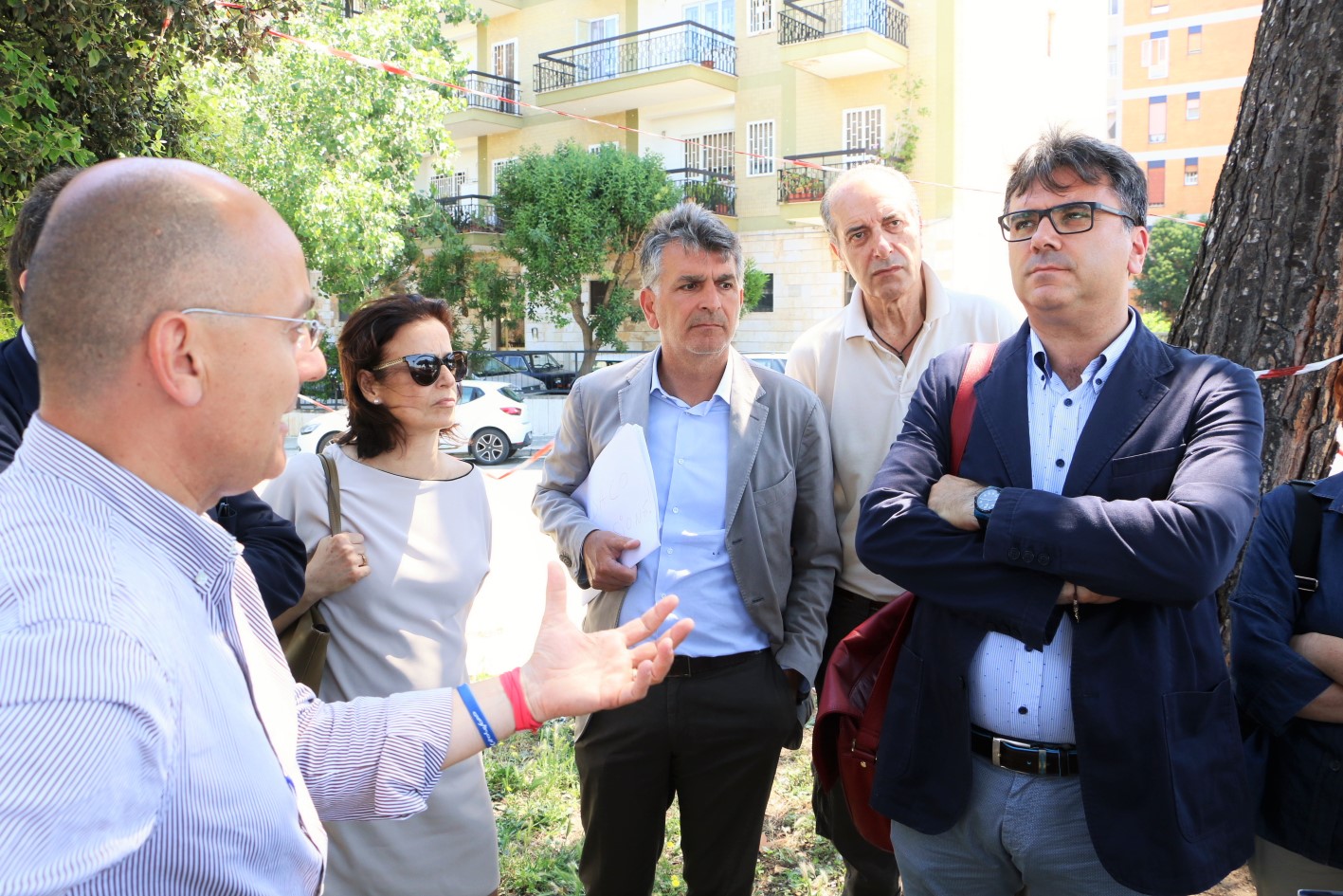 Bari, pini di via Caldarola stop abbattimento alberi, l’esperto possibile il trapianto