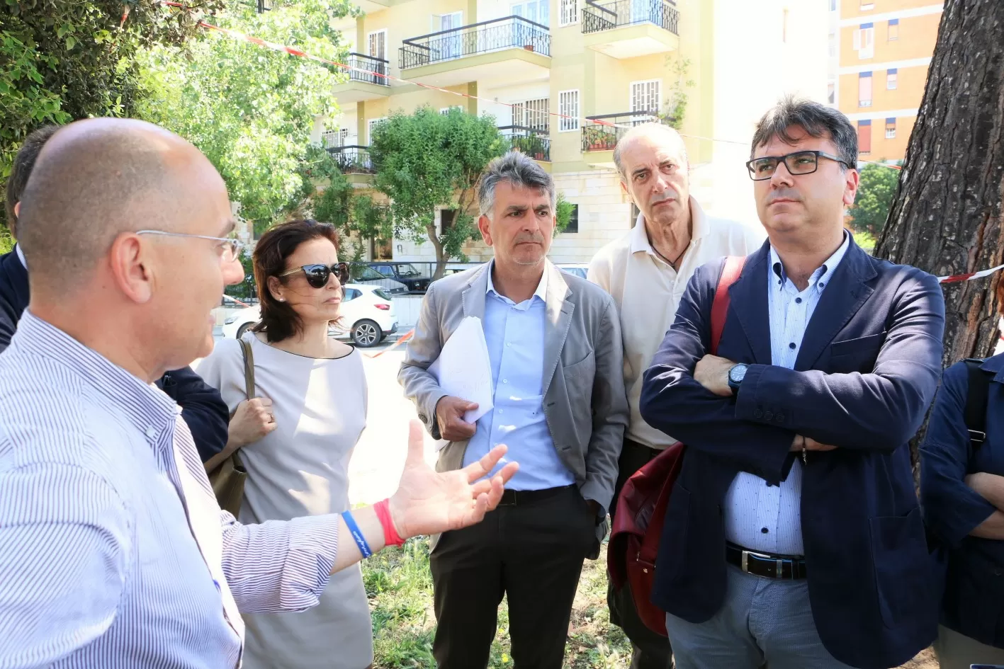 Bari, pini di via Caldarola stop abbattimento alberi, l'esperto possibile il trapianto