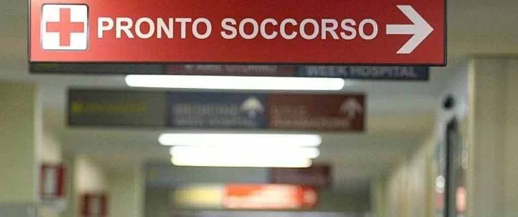 Il cane fa pipì dove non deve e la vicina prende a martellate la padrona dell’animale