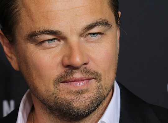 Leonardo DiCaprio straordinario, fa una donazione di 15 milioni di dollari per combattere il cambiamento climatico