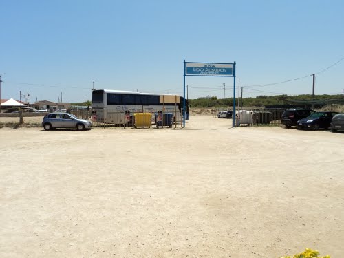 A Marina di Lesina, momenti di paura, un uomo in acqua non riesce a tornare a riva lo salvano 4 bagnini