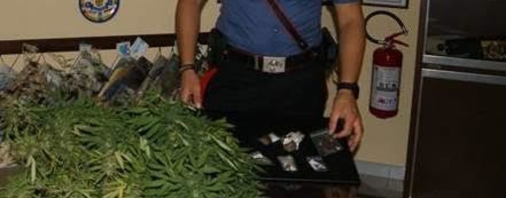 marijuana-1440x564_c