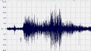 Puglia terremoto, forte scossa magnitudo 4.3