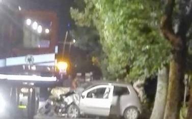 Tragedia sfiorata sul Lungomare: albero crolla su auto, passanti e automobilisti salvi per miracolo