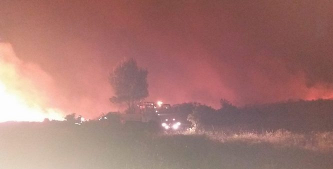 Apocalittico incendio sul Gargano a 10 anni esatti dalla tragedia di Peschici, chiuse strade, in azione i canader