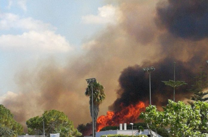 Puglia, incendio tra le ville fatte evacuare dai pompieri, turisti in fuga sulla costa