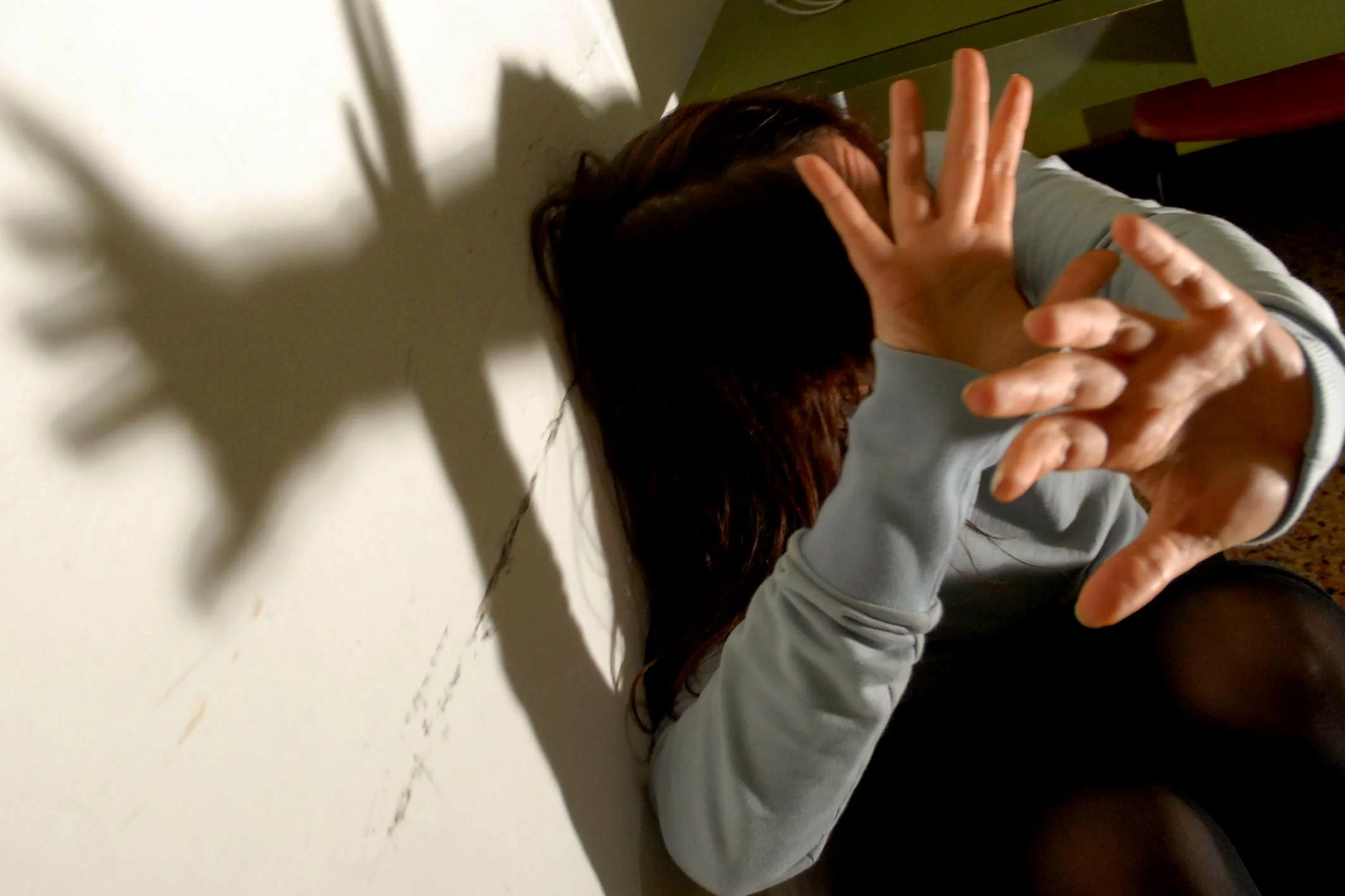 Adolescente picchia brutalmente la mamma, intervengono i cani della donna e la salvano
