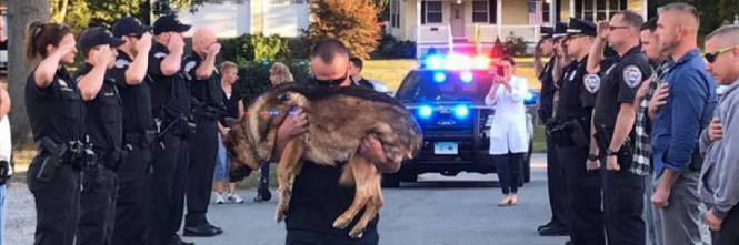 l’ultimo straziante saluto al cane soldato malato di cancro, “riposa in pace Hunter da ora in poi nulla sarà come prima”