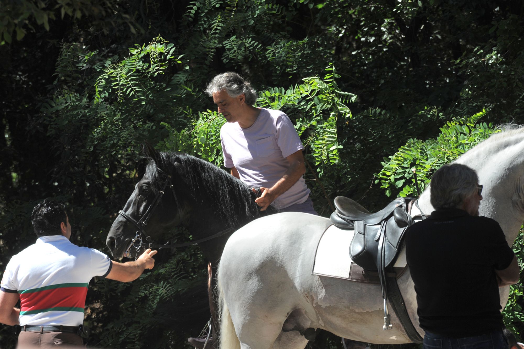 Brutto incidente per Andrea Bocelli cade da cavallo sbattendo violentemente la testa, ricoverato d’urgenza