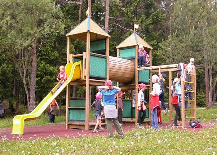 Puglia attimi di paura per caduta albero alto 15 metri su parco giochi bambini