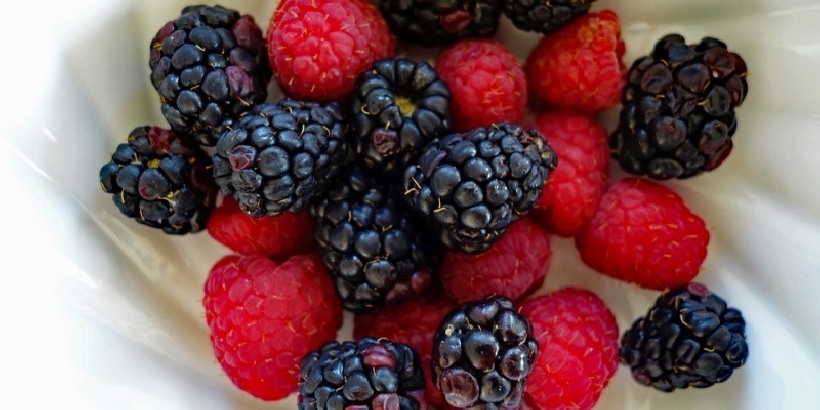 Dieta ai frutti di bosco, ecco come si può dimagrire di 3 chili in pochissimi giorni