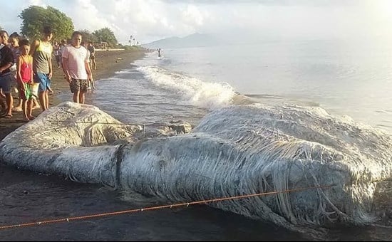 Filippine “cattivo presagio”, ritrovato un mostro marino sulla spiaggia, paura tra i residenti
