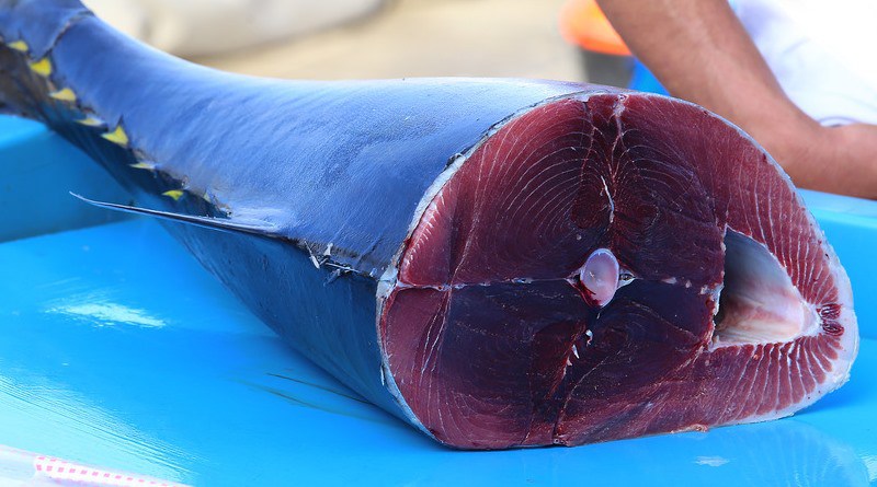 Intossicati da tonno rosso, otto persone ricoverate, gravissime madre e figlia