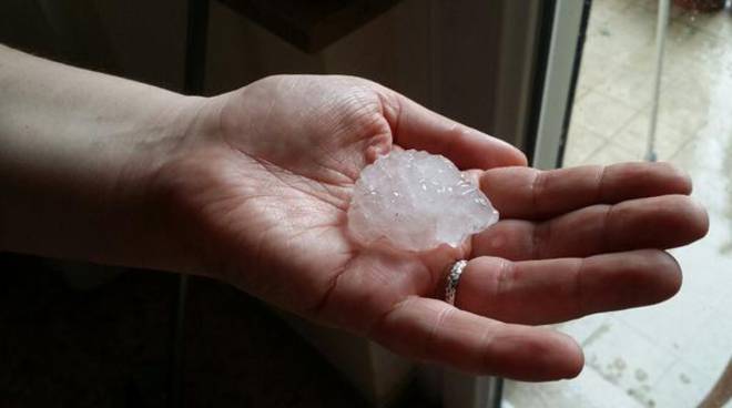 Bomba d’acqua e violentissima grandinata in provincia di Foggia, chicchi grandi come noci,  “sembrava neve”