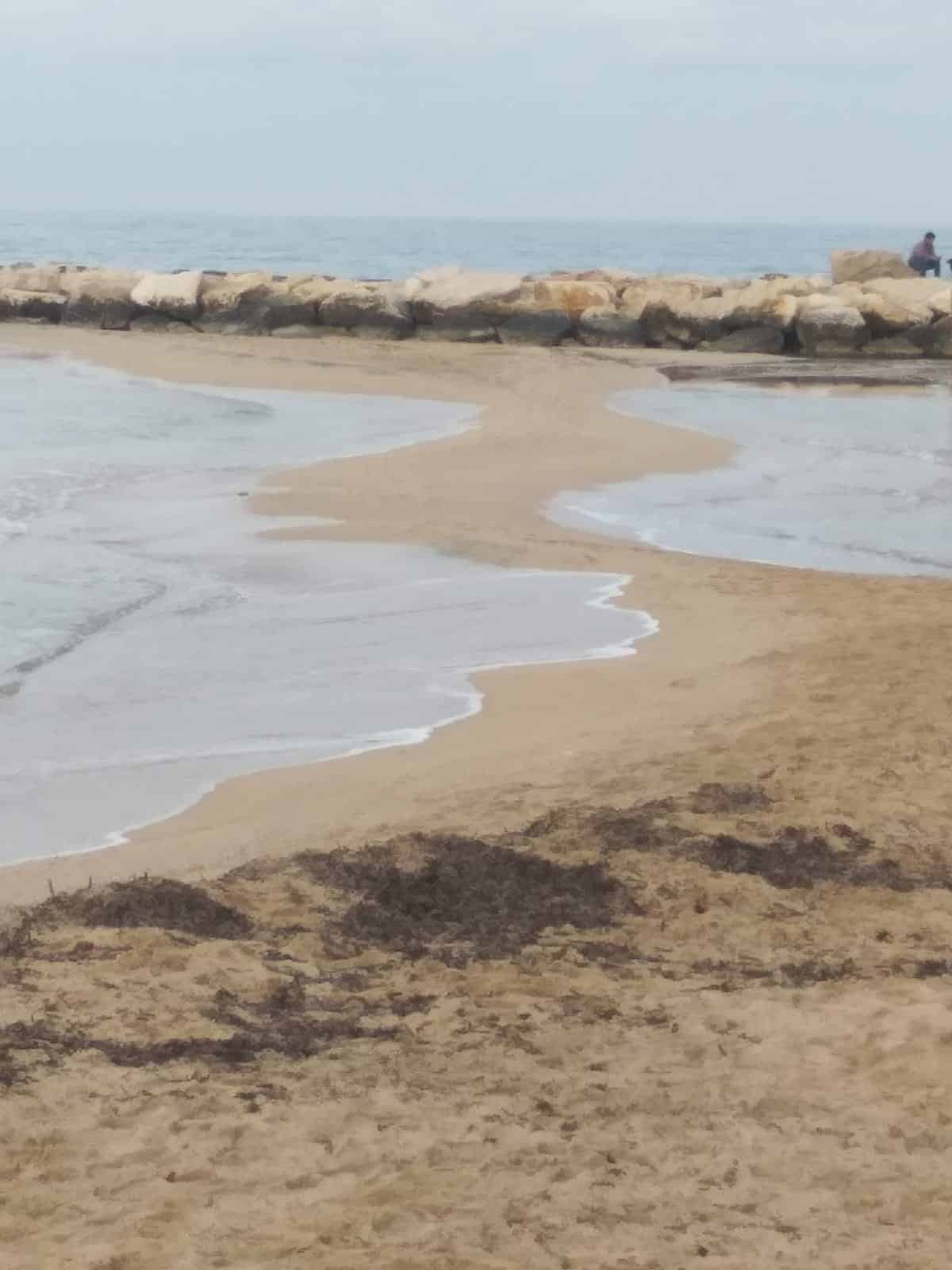 Bari fenomeno raro, il mare si ritrae a Pane e Pomodoro, limbo di sabbia congiunge la terraferma ai frangiflutti