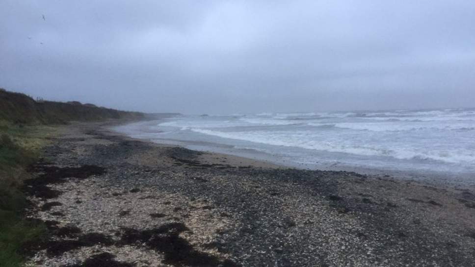 Trovato il corpicino di neonato morto su una spiaggia, si ha paura per le sorti della madre