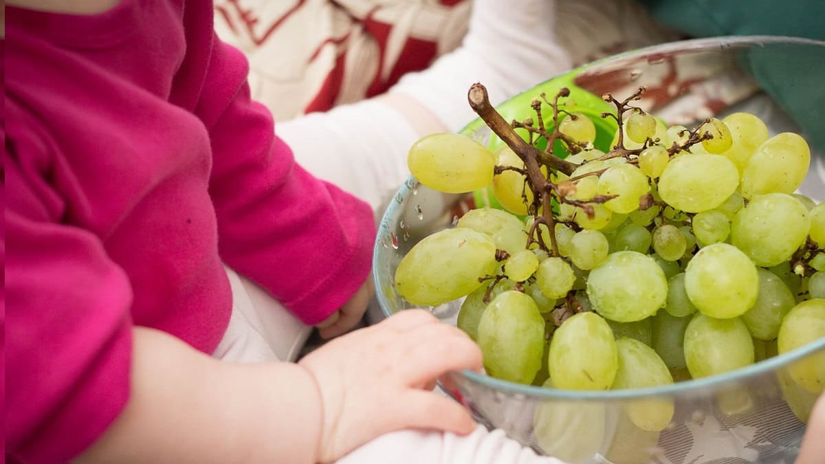 Cena di Capodanno, bimbo di tre anni muore soffocato da un acino d’uva