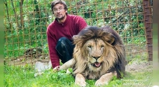 33enne sbranato da uno dei due leoni che aveva in una gabbia in un giardino