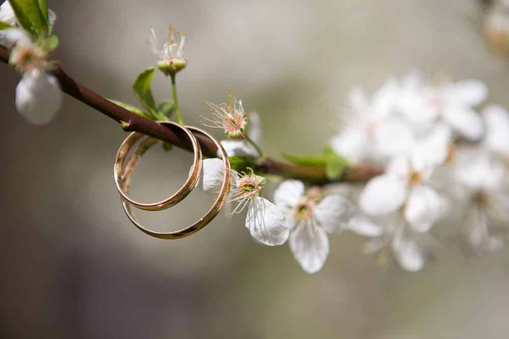 Innamoratissima si sposa ed è felice, poco dopo scopre tutta la sconvolgente, il marito ha altre 4 mogli