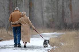 Coppia di anziani porta il canea fare una passeggiata e quello che trova sotto un albero è scioccante