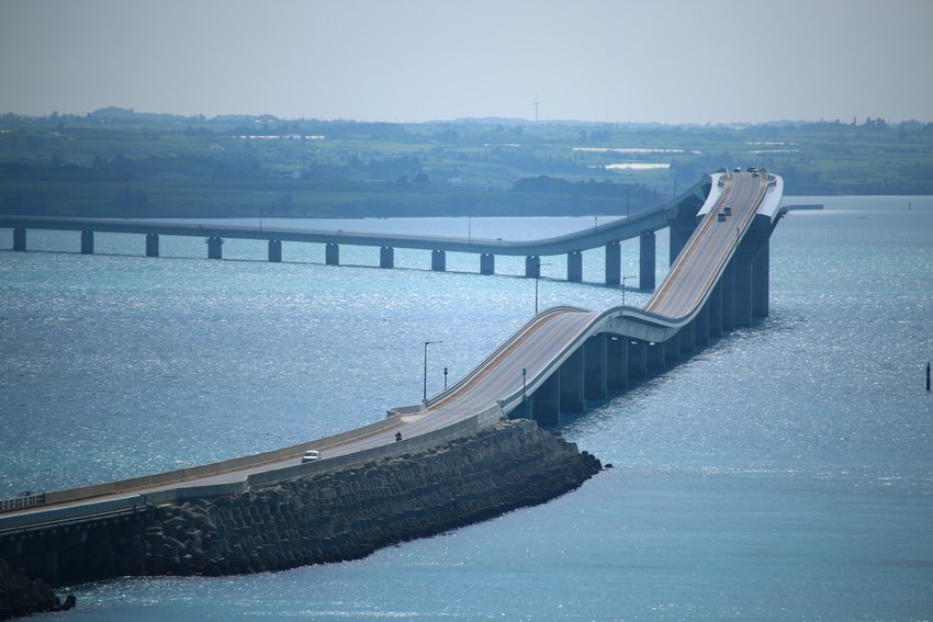 Molto emozionato chiede alla compagna di  sposarlo, lei dice di si, lui per la troppa felicità, perde l’equilibrio, cade dal ponte e muore