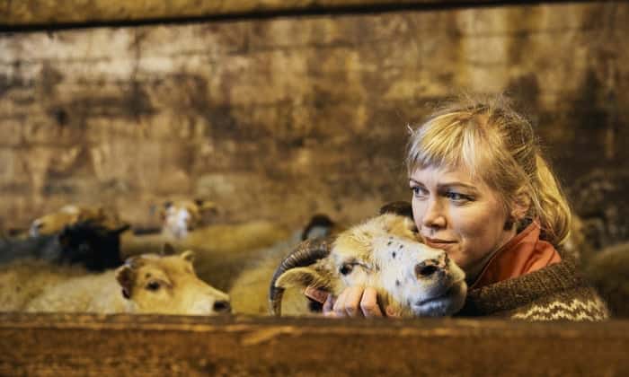 Bellissima modella lascia il suo lavoro per essere un’eremita  allevatrice di pecore, meglio un trattore che un marito