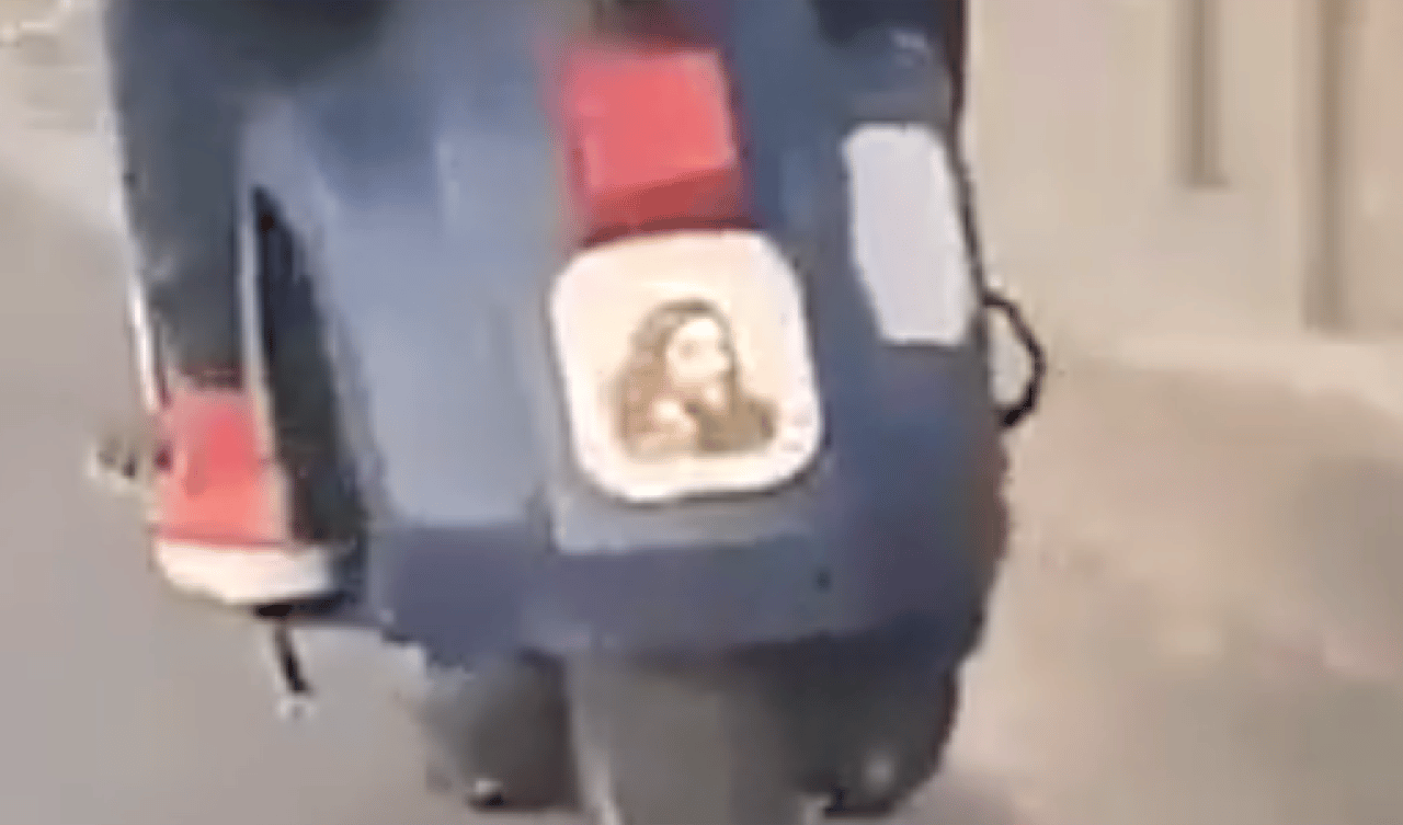 A Napoli c’è una vespa che invece della targa ha qualcosa di incredibile