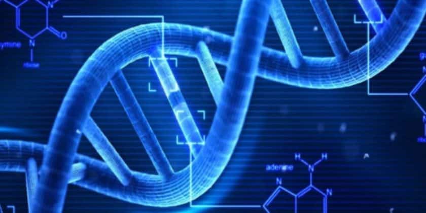 Servono ancora dieci anni di studi e poi l’uomo sarà immortale