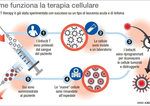 Anche in Italia arriva finalmente la terapia car – T, una cura innovativa e molto efficace contro i tumori