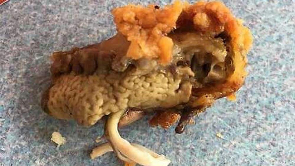 Ordina un petto di pollo fritto da Kfc, dentro la scoperta è da rabbrividire