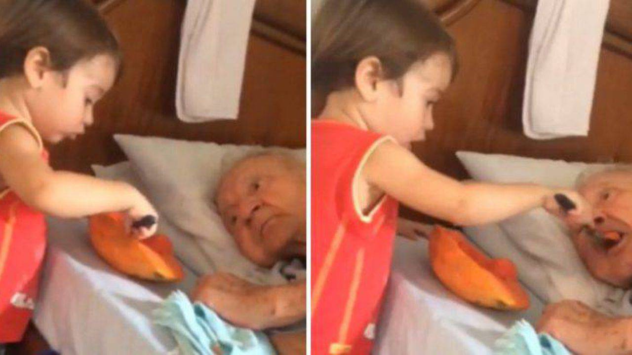 Bambino molto piccolo imbocca il nonno, i video che vorremmo sempre condividere