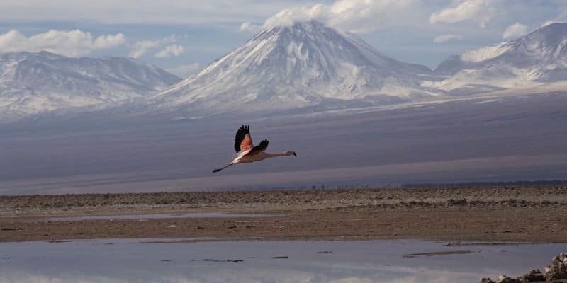 Turista si perde in un deserto senza acqua e cibo riesce a salvarsi grazie una geniale intuizione