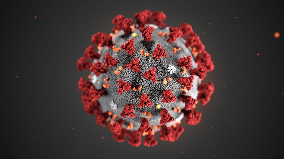 Emergenza Coronavirus, primo caso a Gravina, è un uomo ad annunciarlo il sindaco Alesio Valente